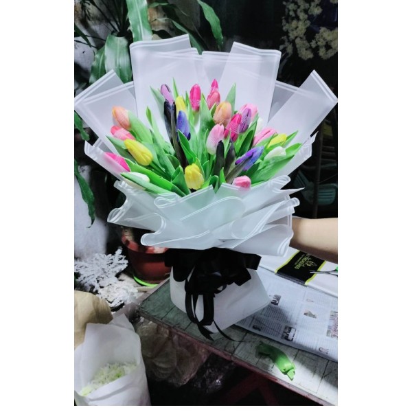 TULIPS L4